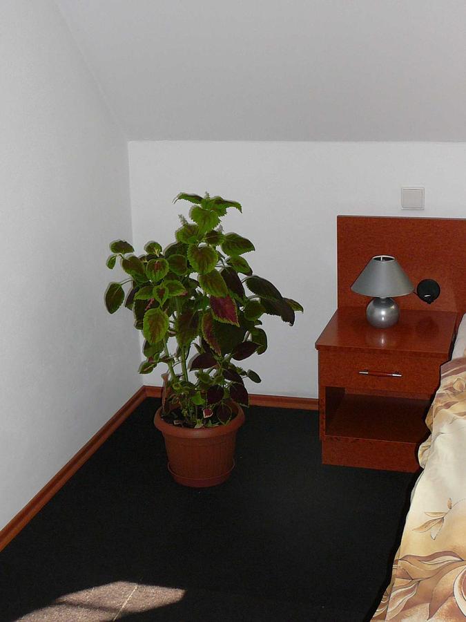 Penzion Praktik Krumlov Přísečná Kamer foto